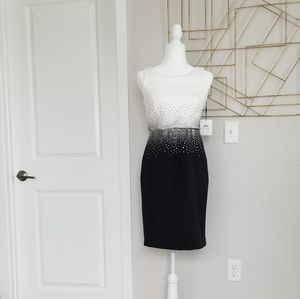 Calvin Klein Black & White Sequined Dress (Size 4)